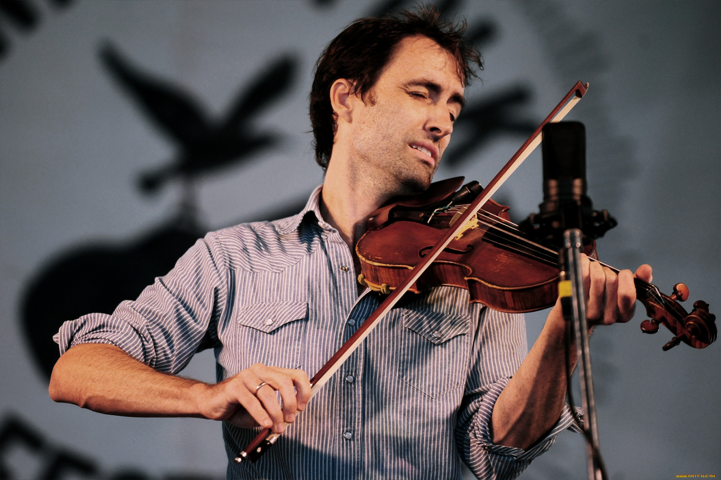 andrew bird, , 